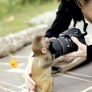 Baby monkey vs. camera