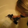 Bath time for baby kittens