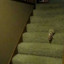 Piglet comes down the stairs