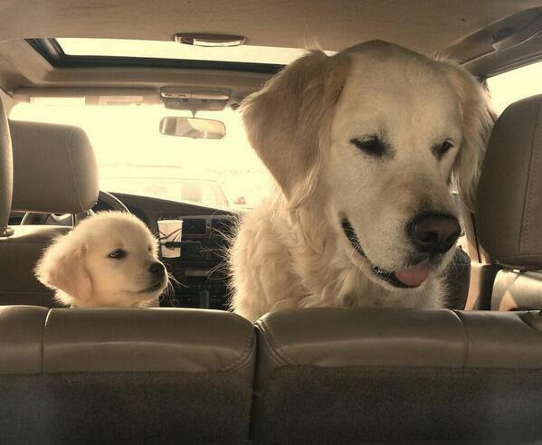 Going for a ride